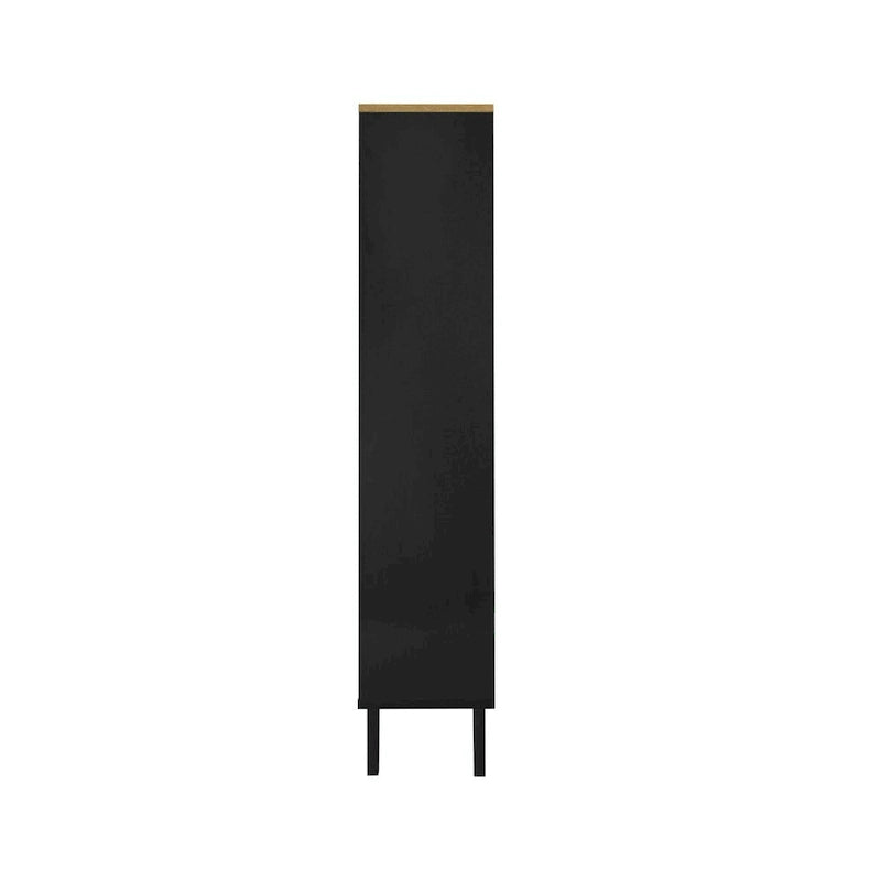 Modern Freestanding Shoe Storage Cabinet with 3 Metal Doors