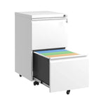 2 Drawer Metal Mobile File Cabinet, Rolling File Cabinet with Lock for Hanging /Letter/A4 Size, Fully Assembled Except Wheels