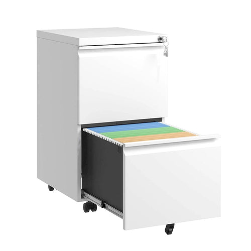 2 Drawer Metal Mobile File Cabinet, Rolling File Cabinet with Lock for Hanging /Letter/A4 Size, Fully Assembled Except Wheels