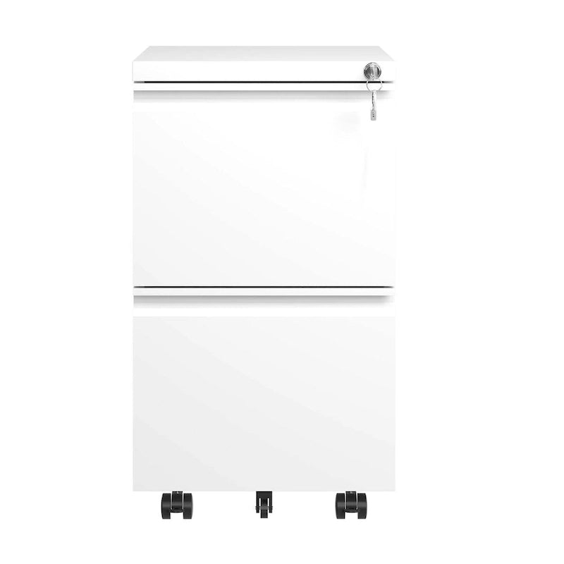 2 Drawer Metal Mobile File Cabinet, Rolling File Cabinet with Lock for Hanging /Letter/A4 Size, Fully Assembled Except Wheels