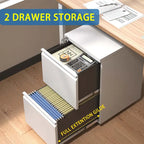 2 Drawer Metal Mobile File Cabinet, Rolling File Cabinet with Lock for Hanging /Letter/A4 Size, Fully Assembled Except Wheels